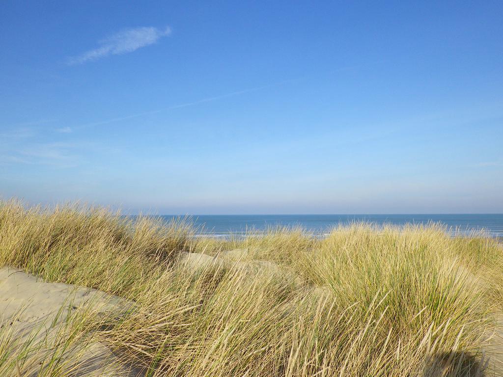 Evancy La Brise Des Dunes Bray-Dunes Bagian luar foto